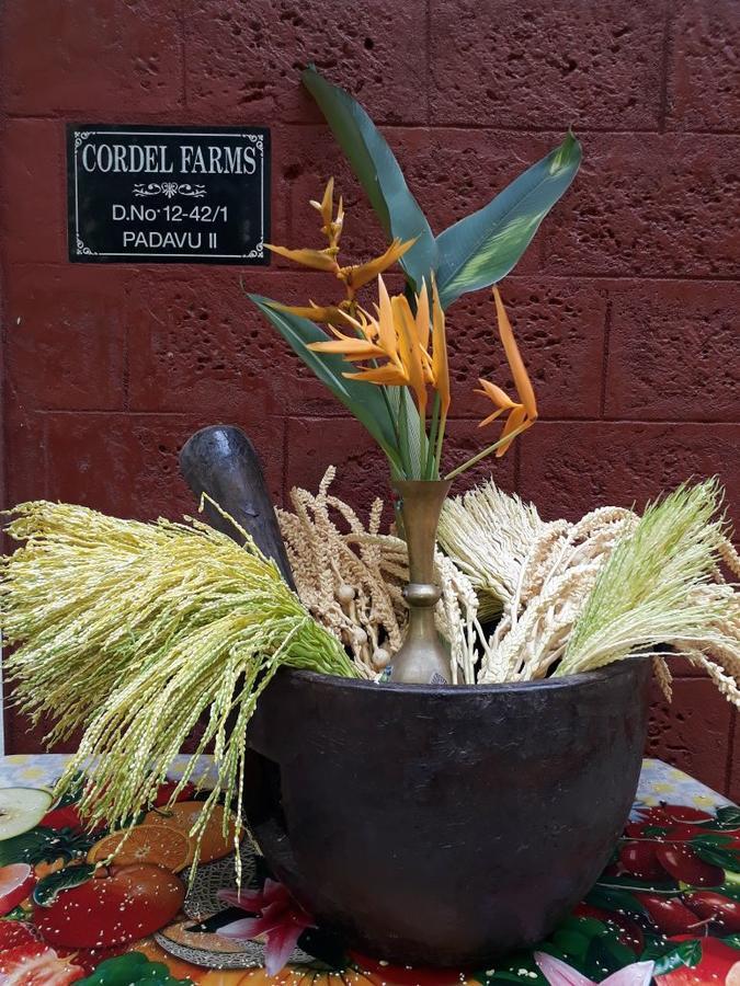 Cordel Farms Mangalore Eksteriør bilde