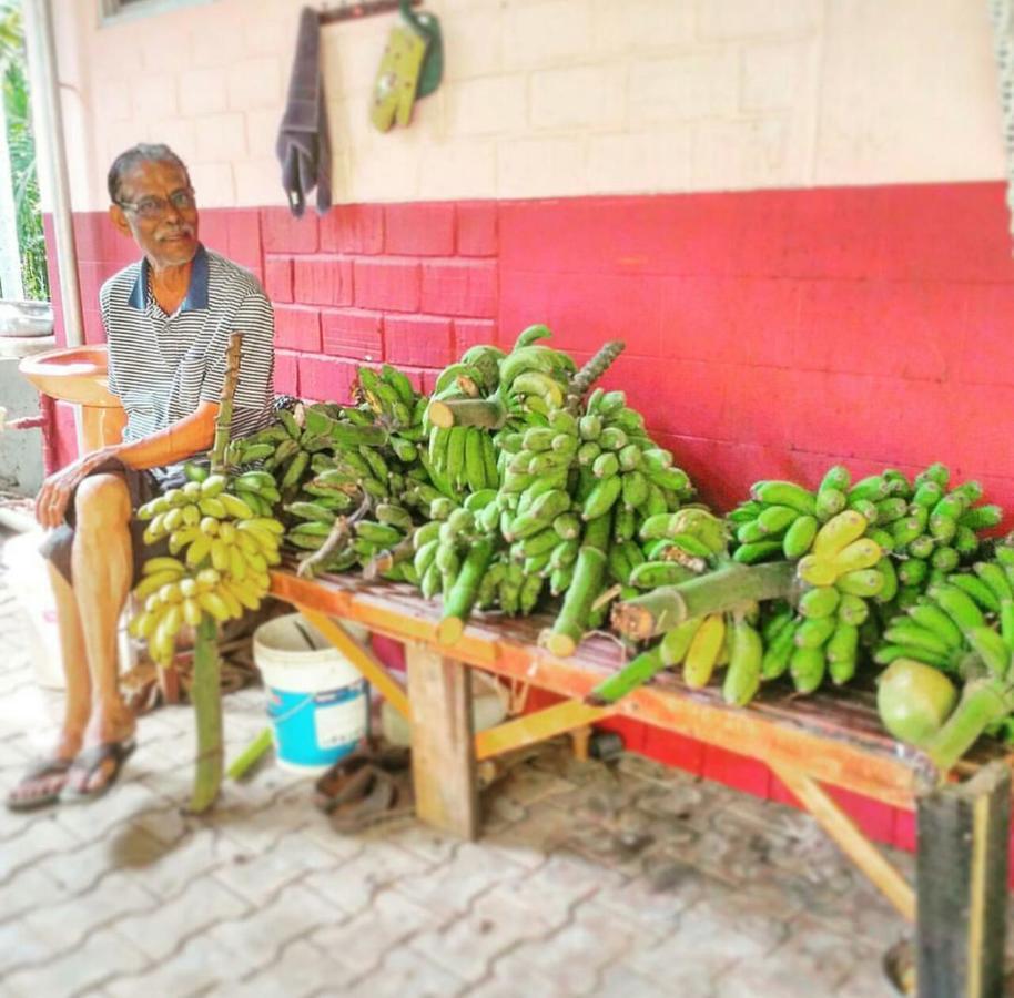 Cordel Farms Mangalore Eksteriør bilde
