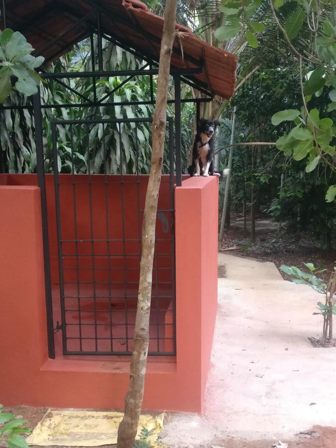 Cordel Farms Mangalore Eksteriør bilde