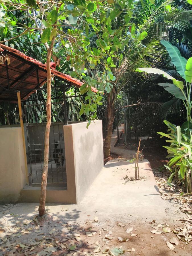 Cordel Farms Mangalore Eksteriør bilde