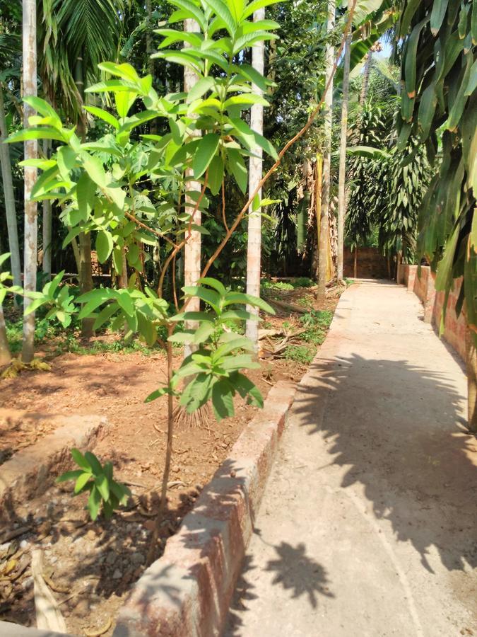Cordel Farms Mangalore Eksteriør bilde